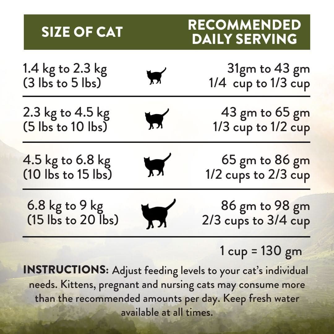 [Trial Pack] Wild Islands NZ Highland Meats Recipe Lamb & Beef-First Grain-Free Dry Cat Food 60g - Addiction Singapore