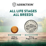[Trial Pack] Wild Islands NZ Island Bird Duck, Turkey & Chicken Grain-Free Dry Cat Food 60g - Addiction Singapore