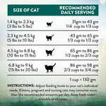 [Trial Pack] Wild Islands NZ Island Bird Duck, Turkey & Chicken Grain-Free Dry Cat Food 60g - Addiction Singapore