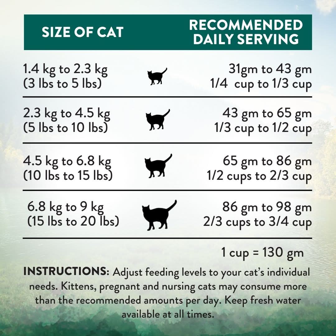 [Trial Pack] Wild Islands NZ Island Bird Duck, Turkey & Chicken Grain-Free Dry Cat Food 60g - Addiction Singapore