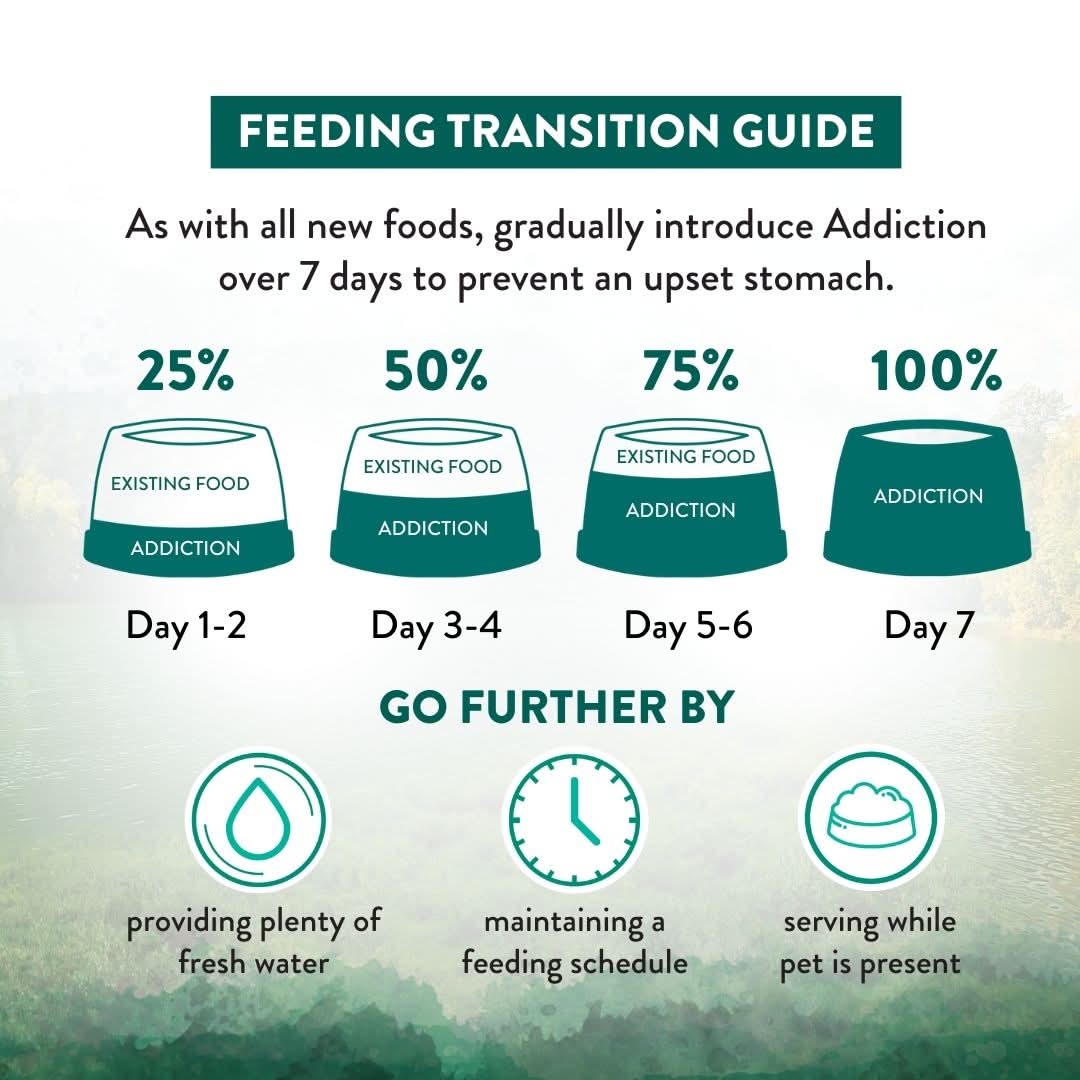 [Trial Pack] Wild Islands NZ Island Bird Duck, Turkey & Chicken Grain-Free Dry Cat Food 60g - Addiction Singapore