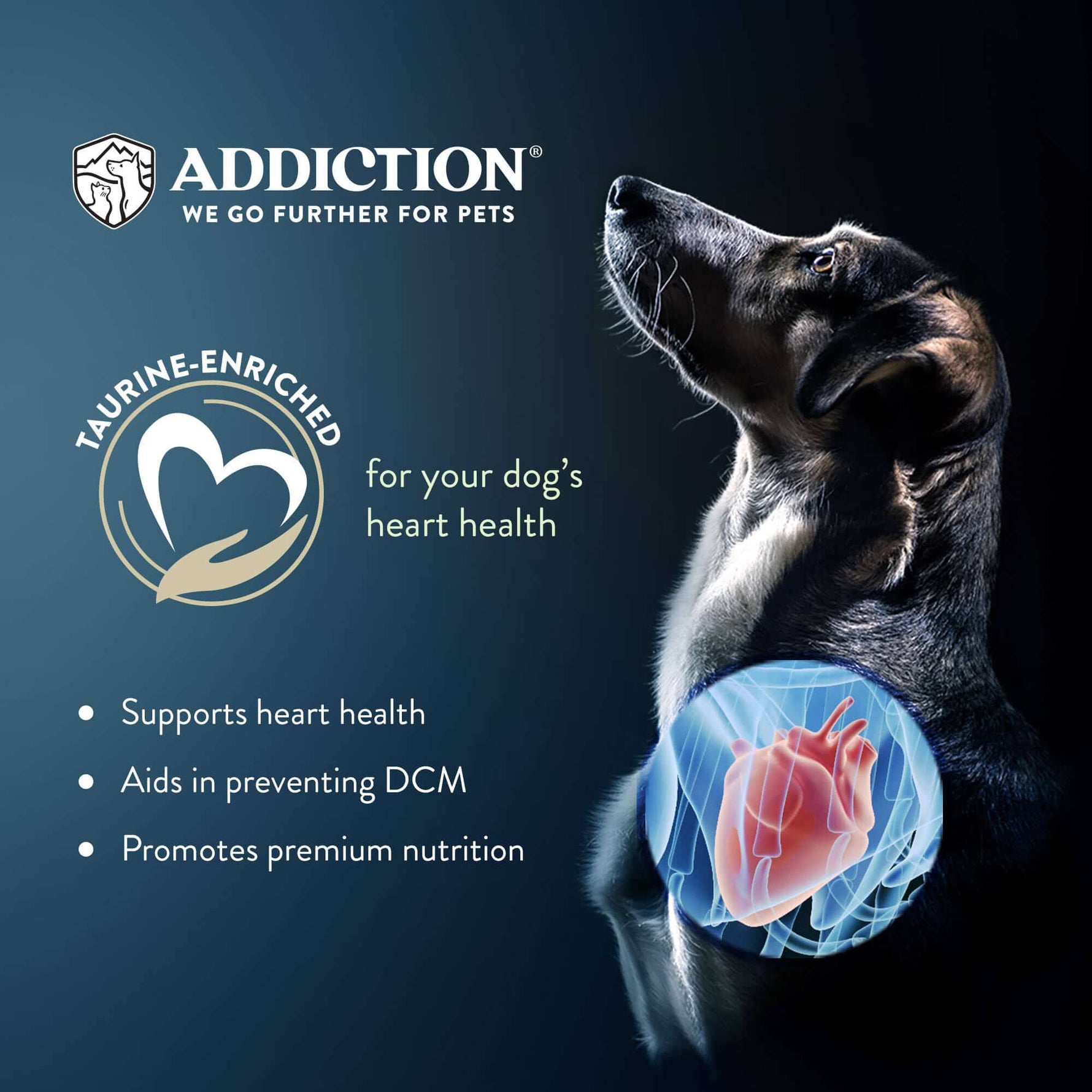 Country Chicken & Apricot Air-Dried Dog Food 910g - Addiction Singapore