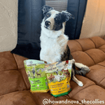 Country Chicken & Apricot Air-Dried Dog Food 910g - Addiction Singapore