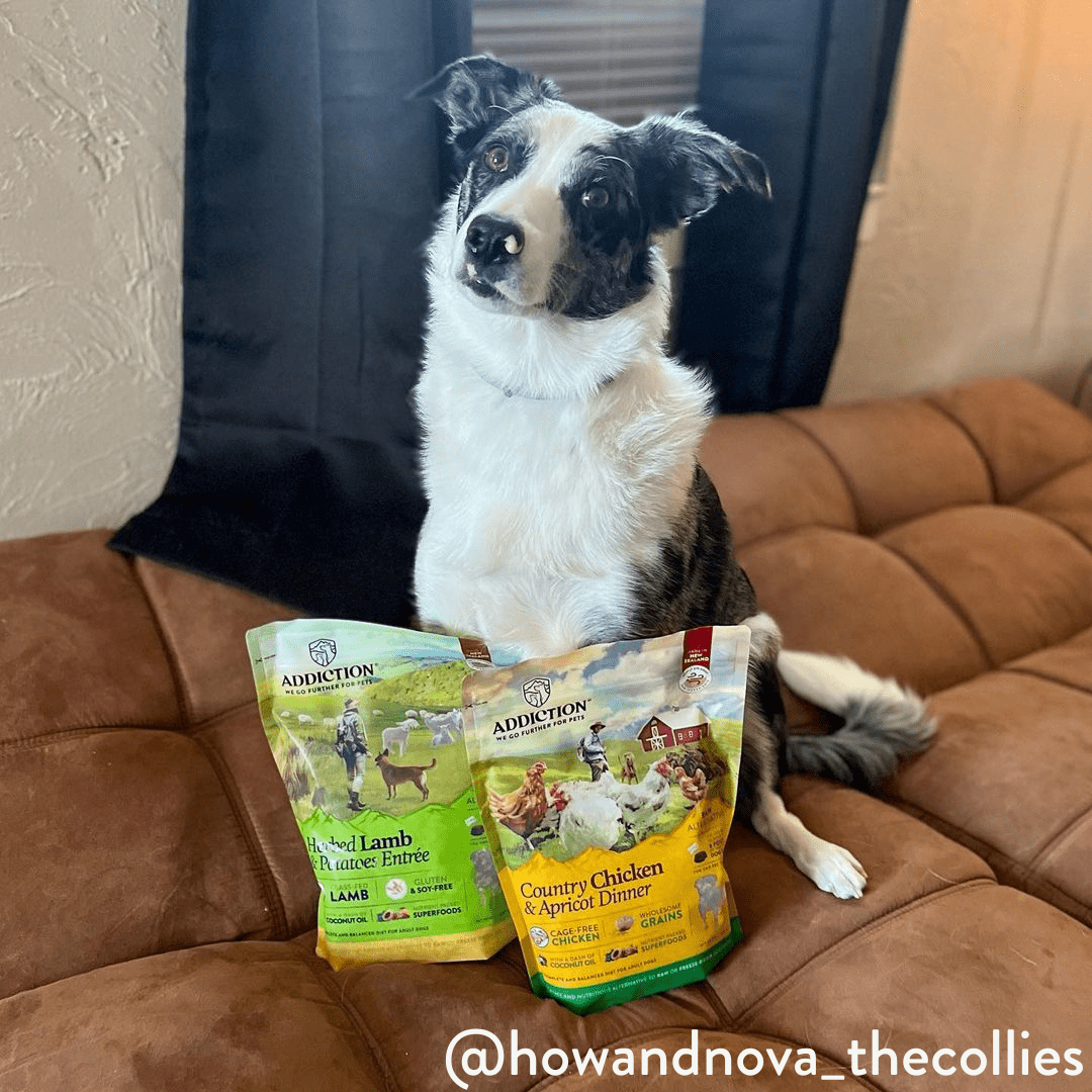 Country Chicken & Apricot Air-Dried Dog Food 910g - Addiction Singapore