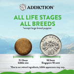 [Dog Trial Pack Bundle] Le Lamb Dry Food 60g - Addiction Singapore