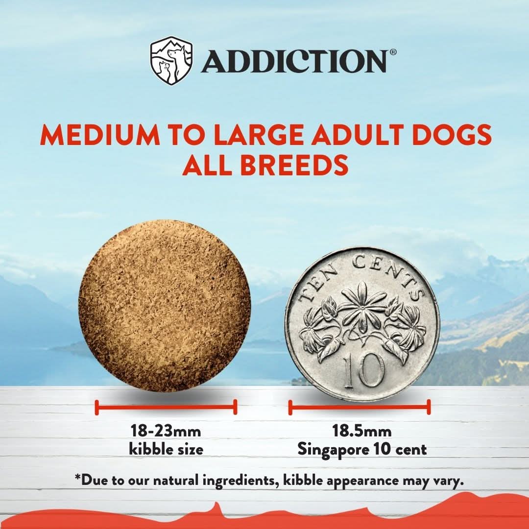 [Trial Pack Bundle] MEGA Lamb & Beef Grain-Free Dry Dog Food 5 x 60g - Addiction Singapore