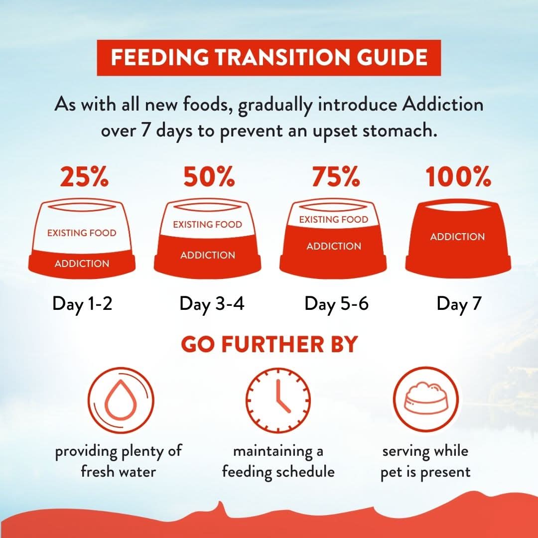 [Trial Pack Bundle] MEGA Lamb & Beef Grain-Free Dry Dog Food 5 x 60g - Addiction Singapore