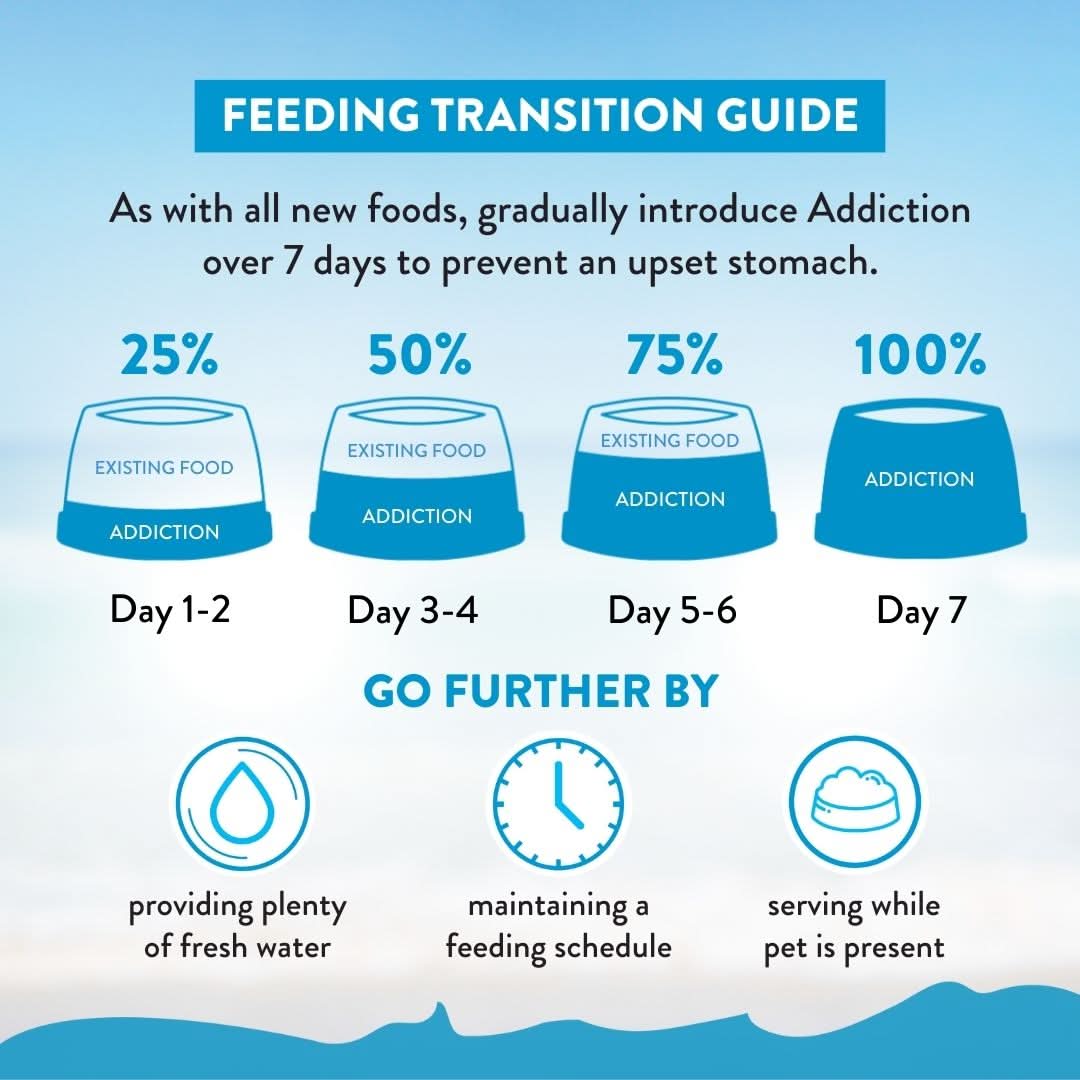 [Dog Trial Pack Bundle] Salmon Bleu Dry Food 60g - Addiction Singapore