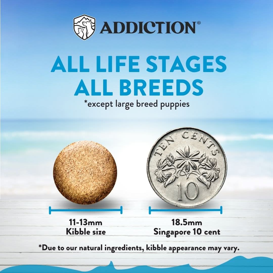 [Dog Trial Pack Bundle] Salmon Bleu Dry Food 60g - Addiction Singapore