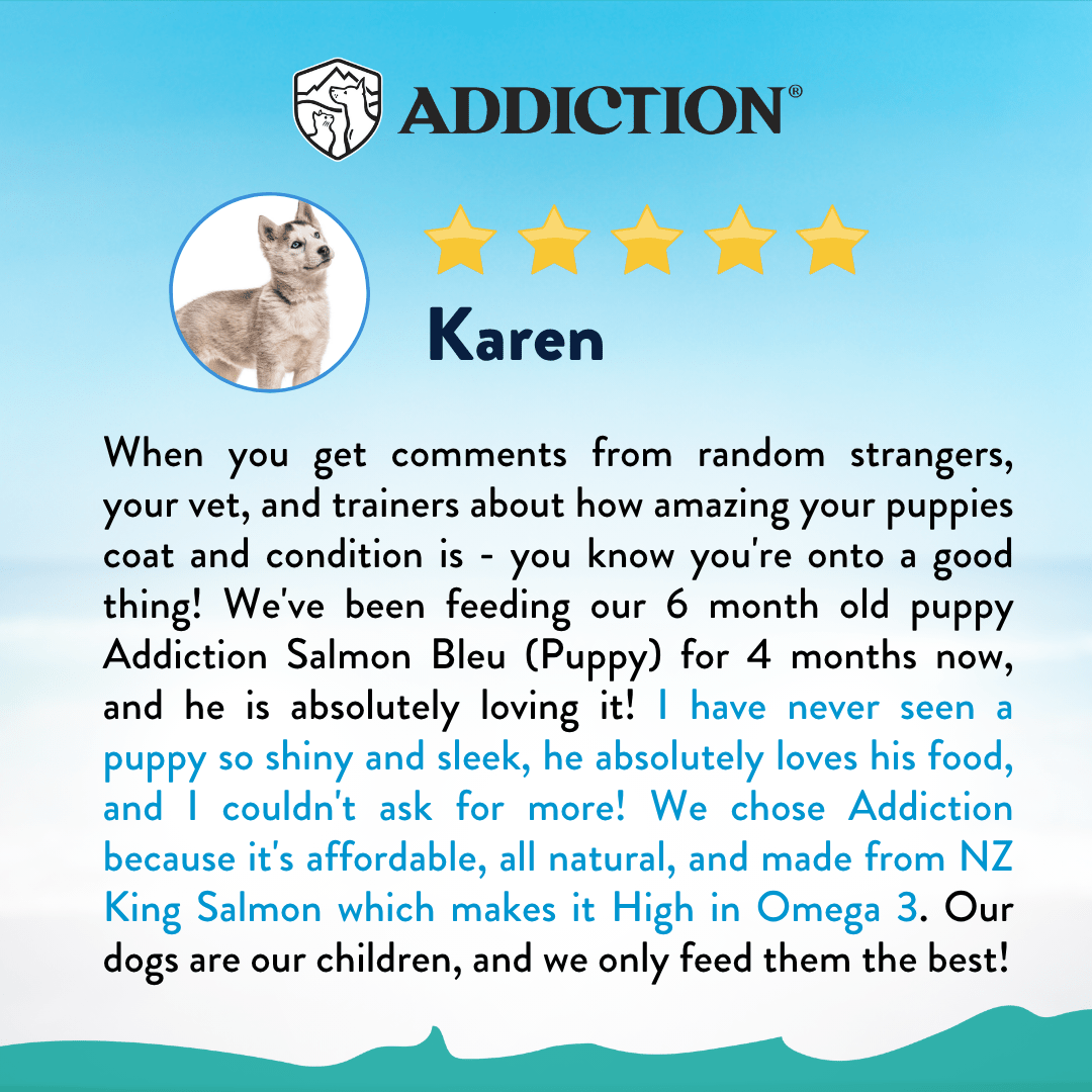 [Trial Pack Bundle] Salmon Bleu Puppy Grain-Free Dry Dog Food 5 x 60g - Addiction Singapore