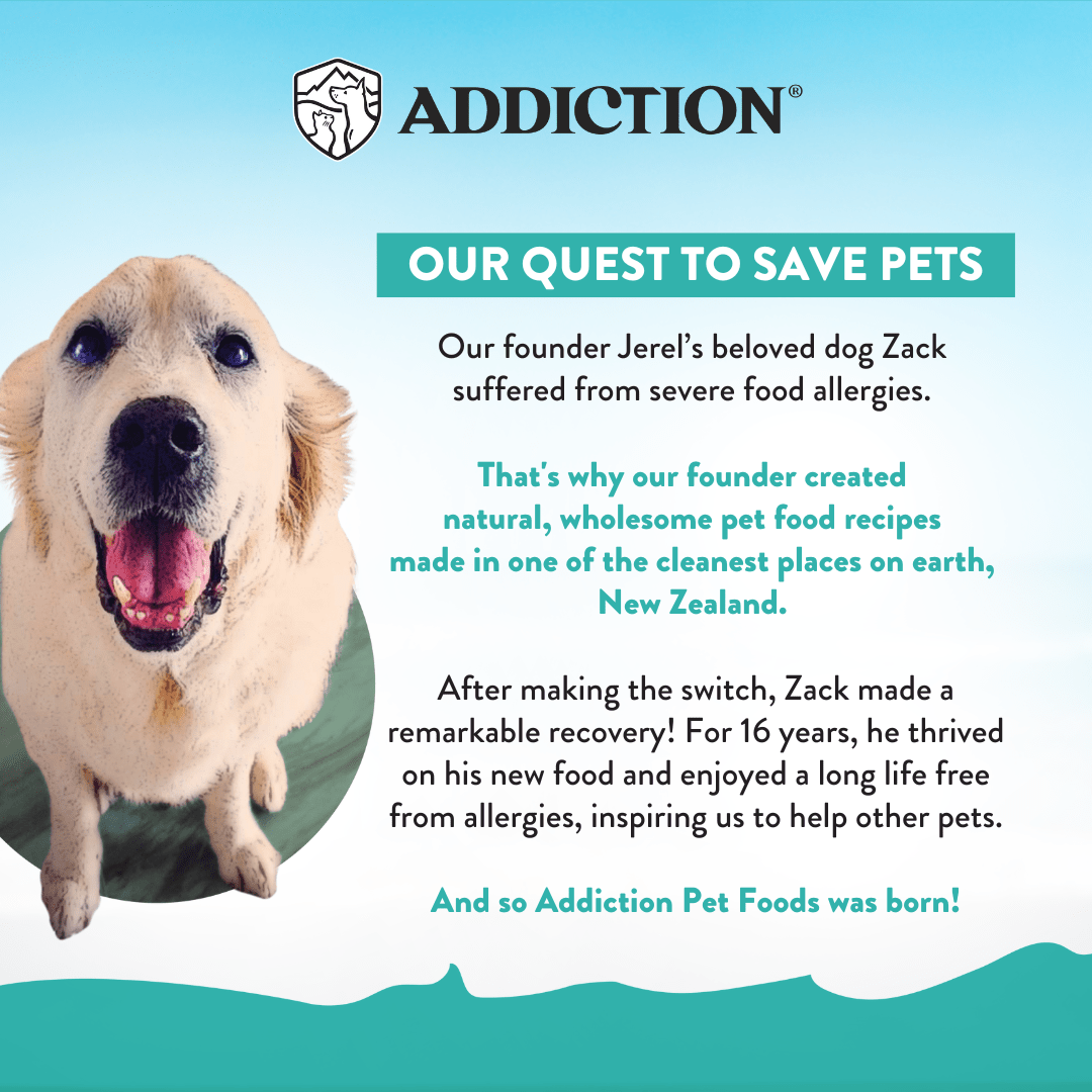 [Trial Pack Bundle] Salmon Bleu Puppy Grain-Free Dry Dog Food 5 x 60g - Addiction Singapore