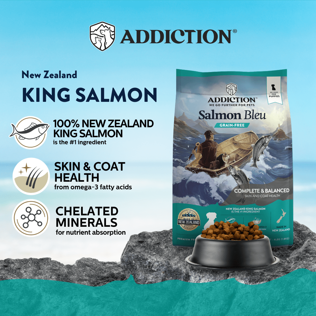 [Trial Pack Bundle] Salmon Bleu Puppy Grain-Free Dry Dog Food 5 x 60g - Addiction Singapore