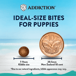 [Trial Pack Bundle] Salmon Bleu Puppy Grain-Free Dry Dog Food 5 x 60g - Addiction Singapore