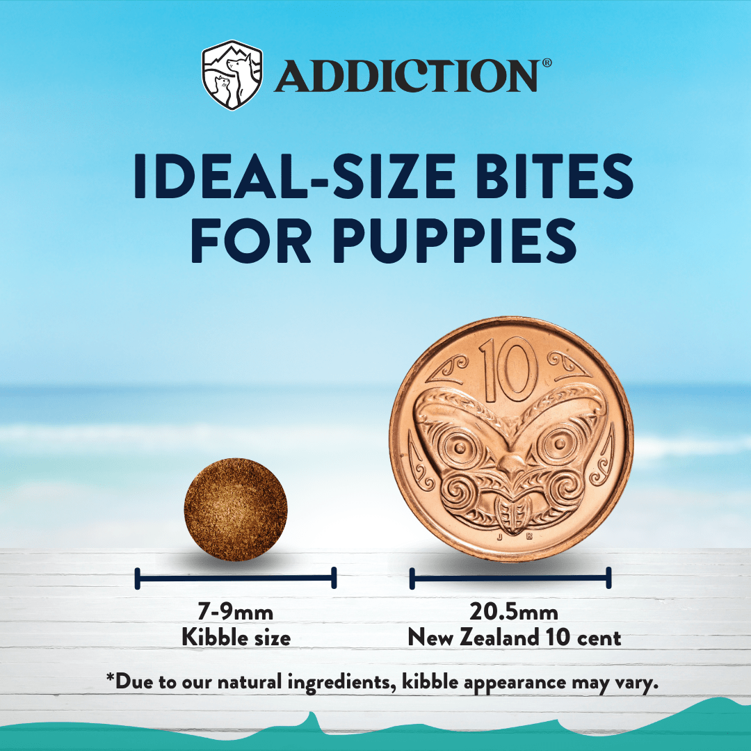 [Trial Pack Bundle] Salmon Bleu Puppy Grain-Free Dry Dog Food 5 x 60g - Addiction Singapore