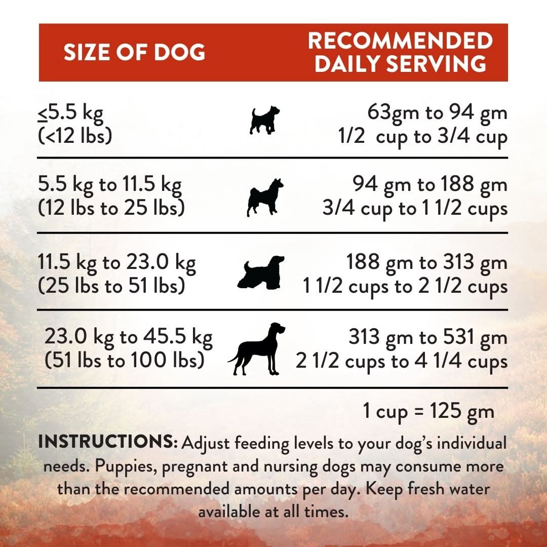 [Trial Pack] Wild Islands NZ Forest Meat Recipe Venison-First Grain-Free Dry Dog Food 60g - Addiction Singapore