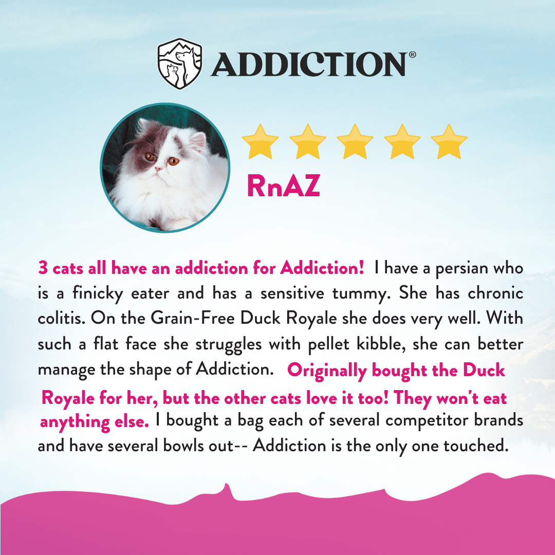 Duck Royale Dry Cat Food 1.8kg - Addiction Singapore