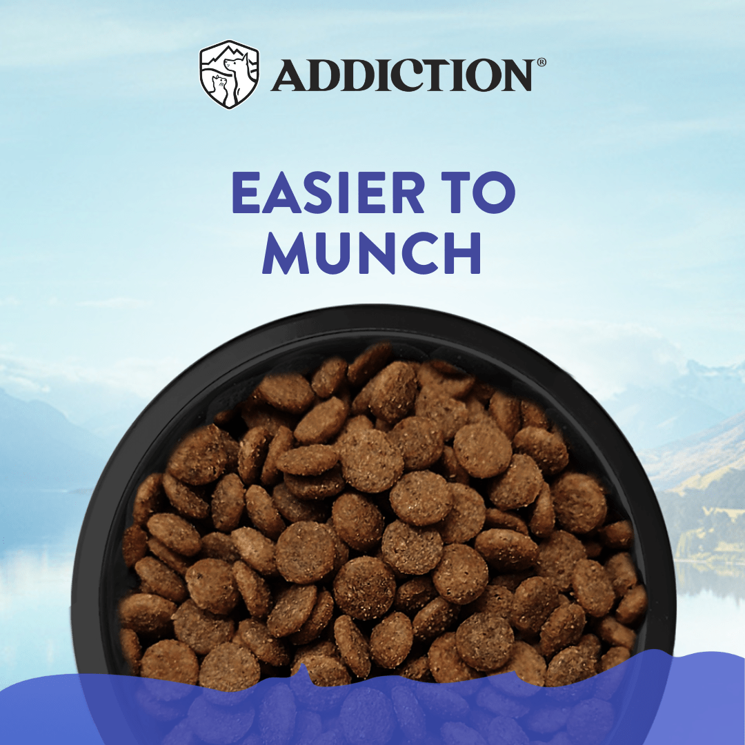 Duck Royale Entrée Small Breed Grain-Free Dry Dog Food 500g, 1.5kg - Addiction Singapore