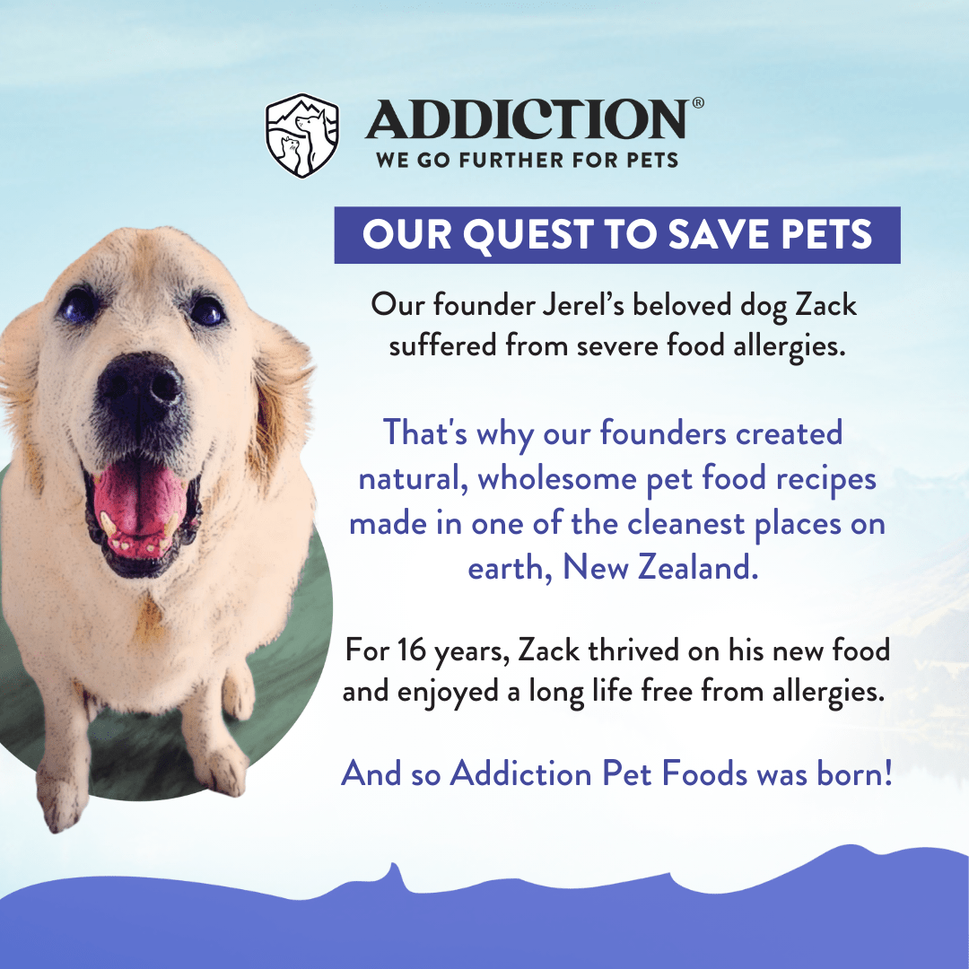 Duck Royale Entrée Small Breed Grain-Free Dry Dog Food 500g, 1.5kg - Addiction Singapore