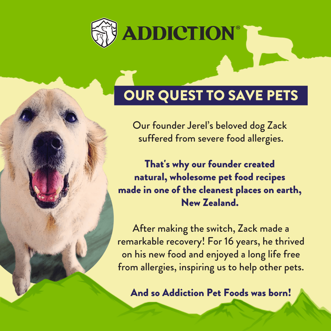 Herbed Lamb & Potatoes Air - Dried Dog Food 910g - Addiction Singapore