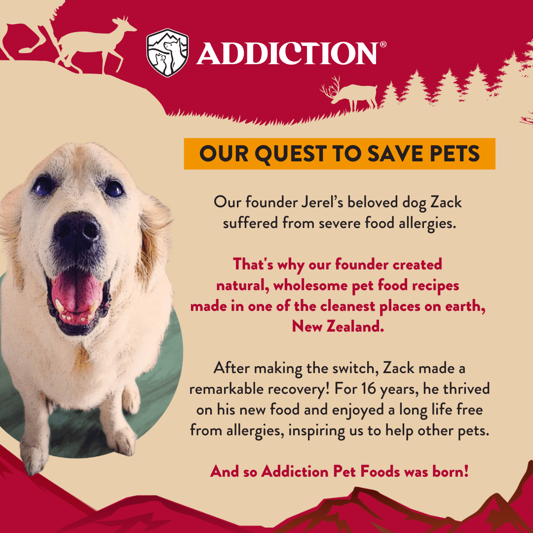 Homestyle Venison & Cranberry Air - Dried Dog Food 910g - Addiction Singapore