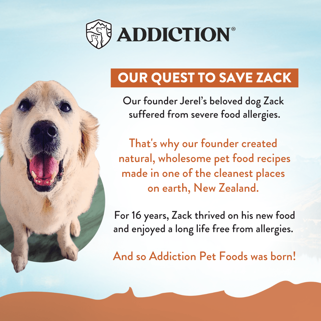 Kangaroo Meaty Bites - Hypoallergenic Dog Treats 113g - Addiction Singapore