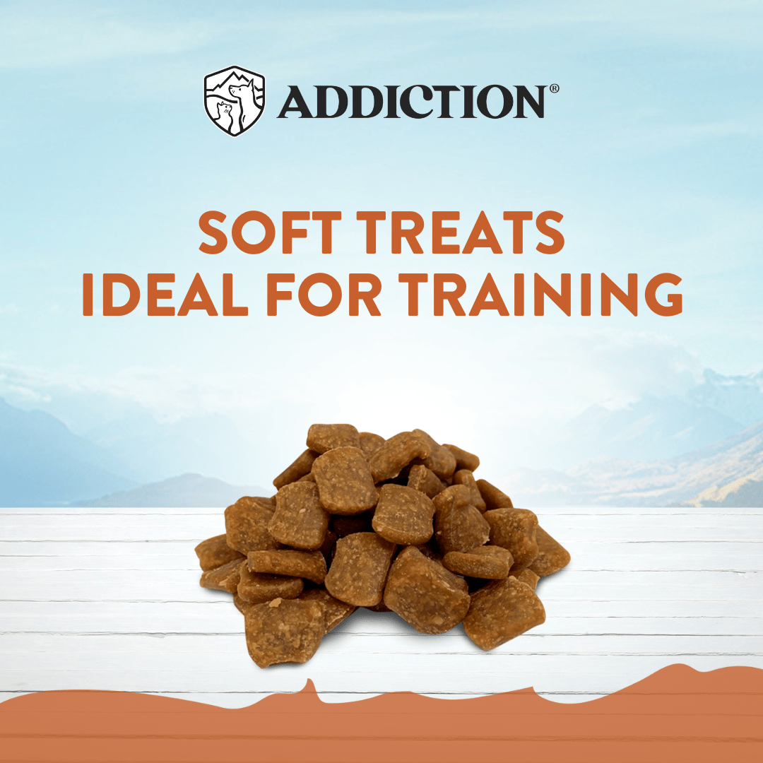 Kangaroo Meaty Bites - Hypoallergenic Dog Treats 113g - Addiction Singapore