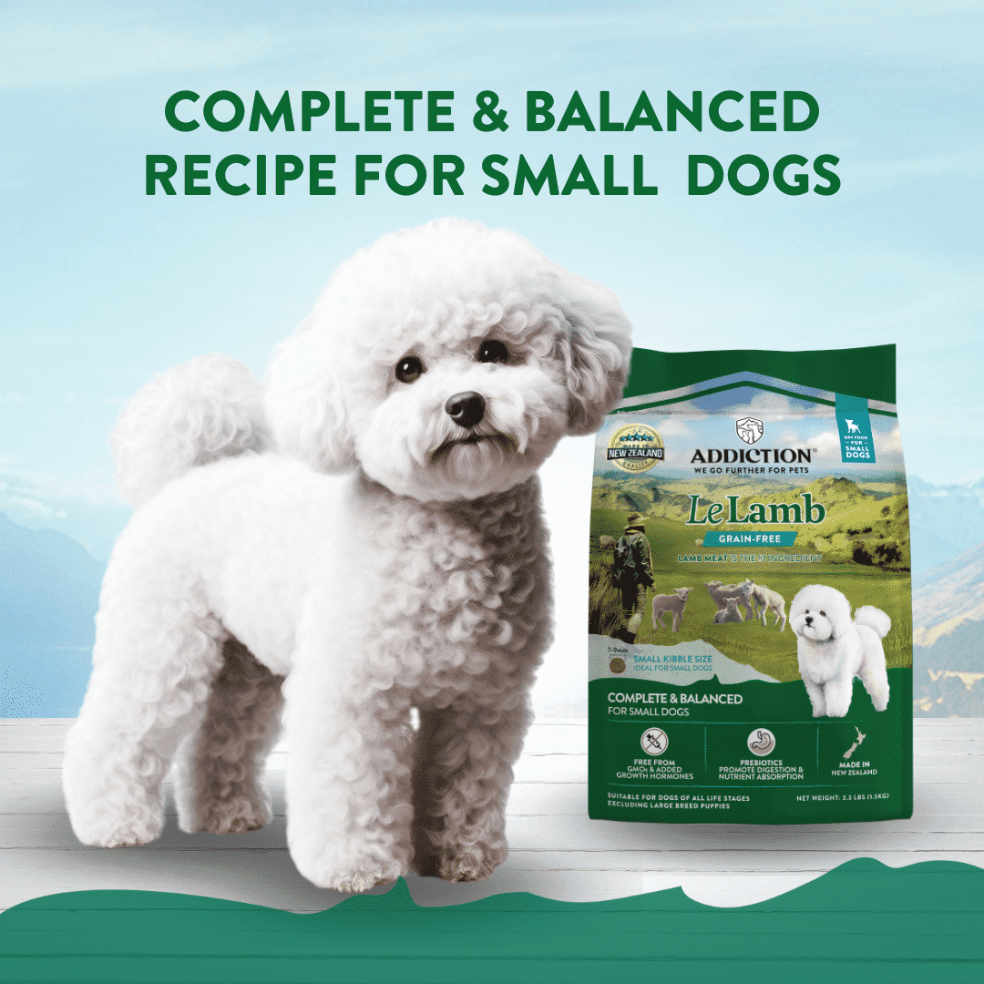 Le Lamb Small Breed Dry Dog Food 500g, 1.5kg - Addiction Singapore