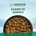 Le Lamb Small Breed Dry Dog Food 500g, 1.5kg - Addiction Singapore