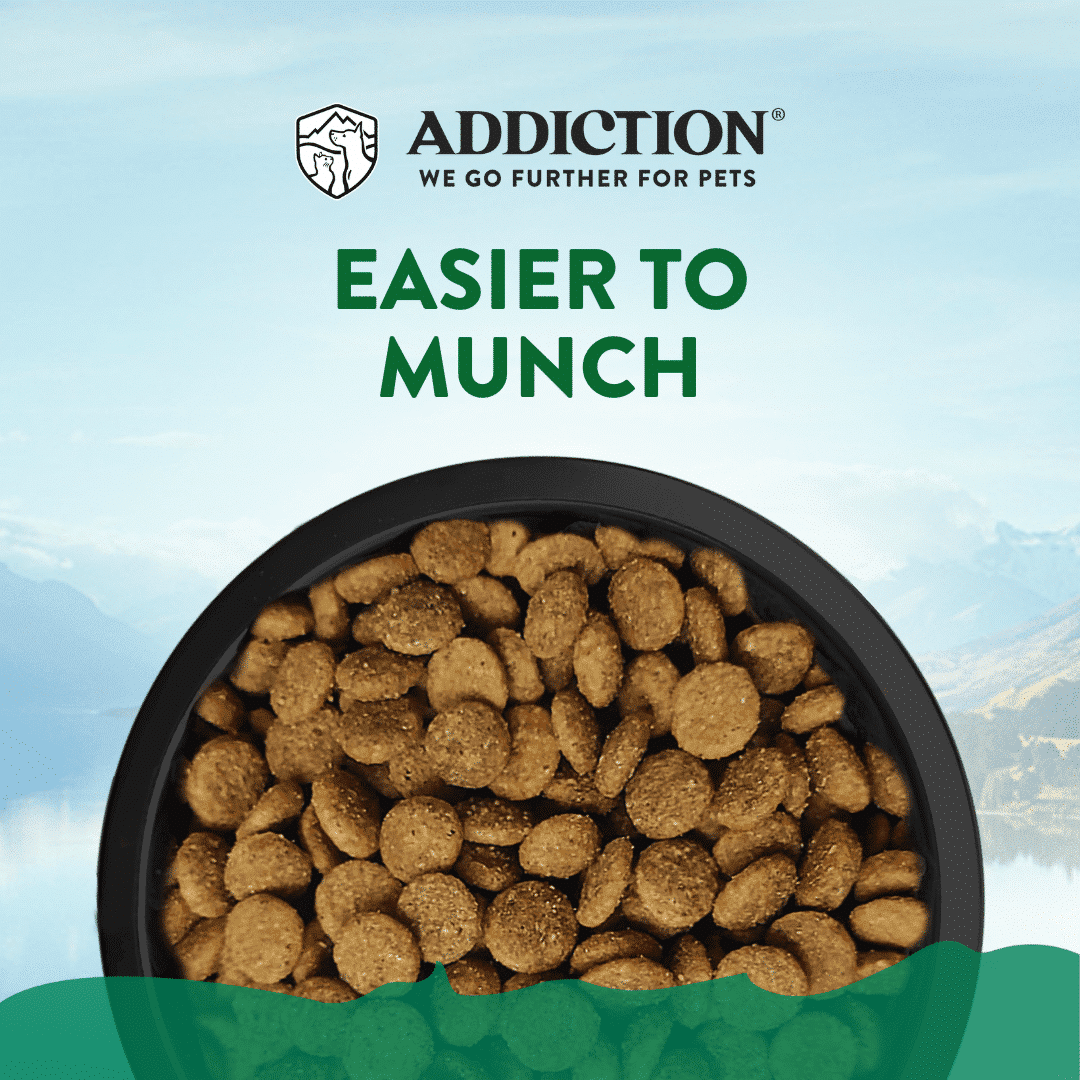 Le Lamb Small Breed Dry Dog Food 500g, 1.5kg - Addiction Singapore