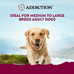 Mega Country Chicken Meaty Loaf Wet Dog Food 700g - Addiction Singapore