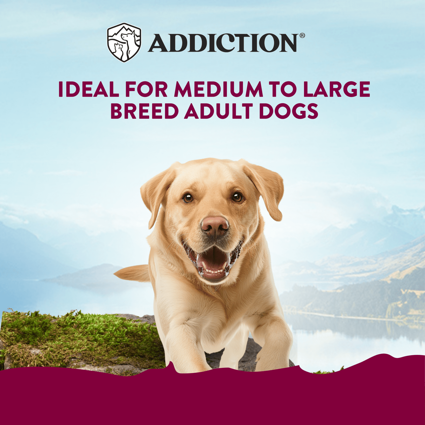 Mega Country Chicken Meaty Loaf Wet Dog Food 700g - Addiction Singapore