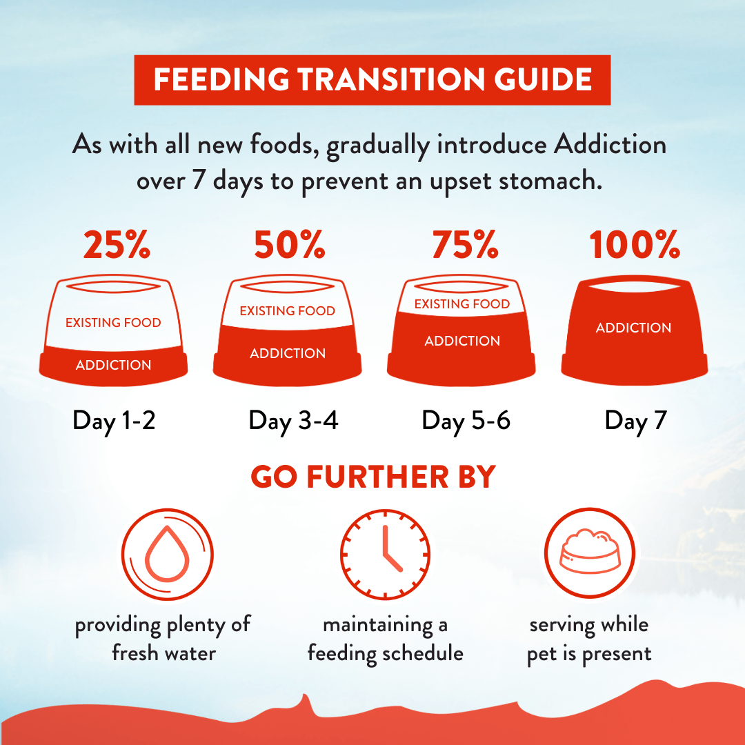 Mega Lamb & Beef Adult Dry Dog Food 20kg - Addiction Singapore