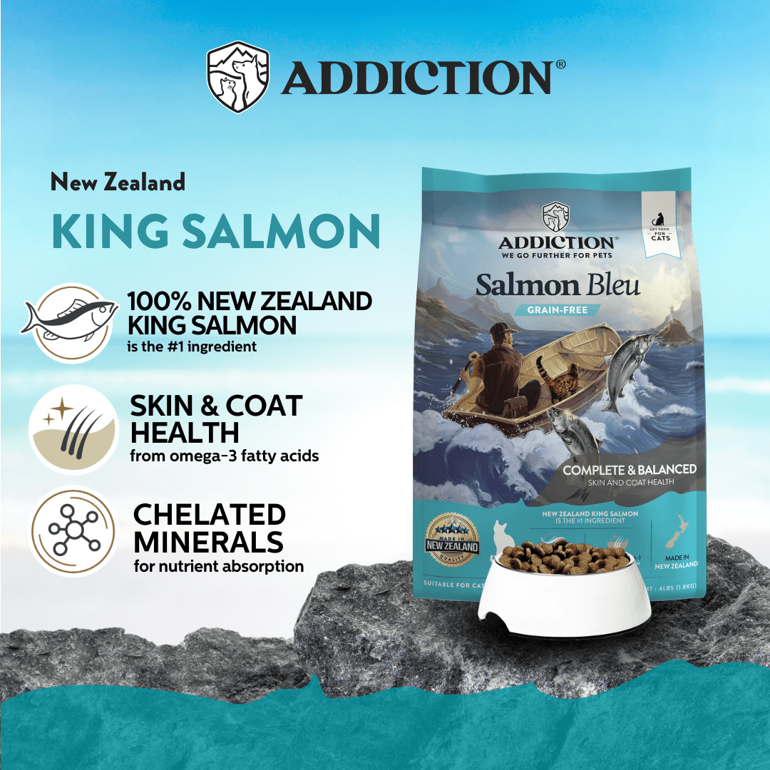 Salmon Bleu Dry Cat Food 1.8kg - Addiction Singapore