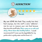Salmon Bleu Dry Cat Food 1.8kg - Addiction Singapore