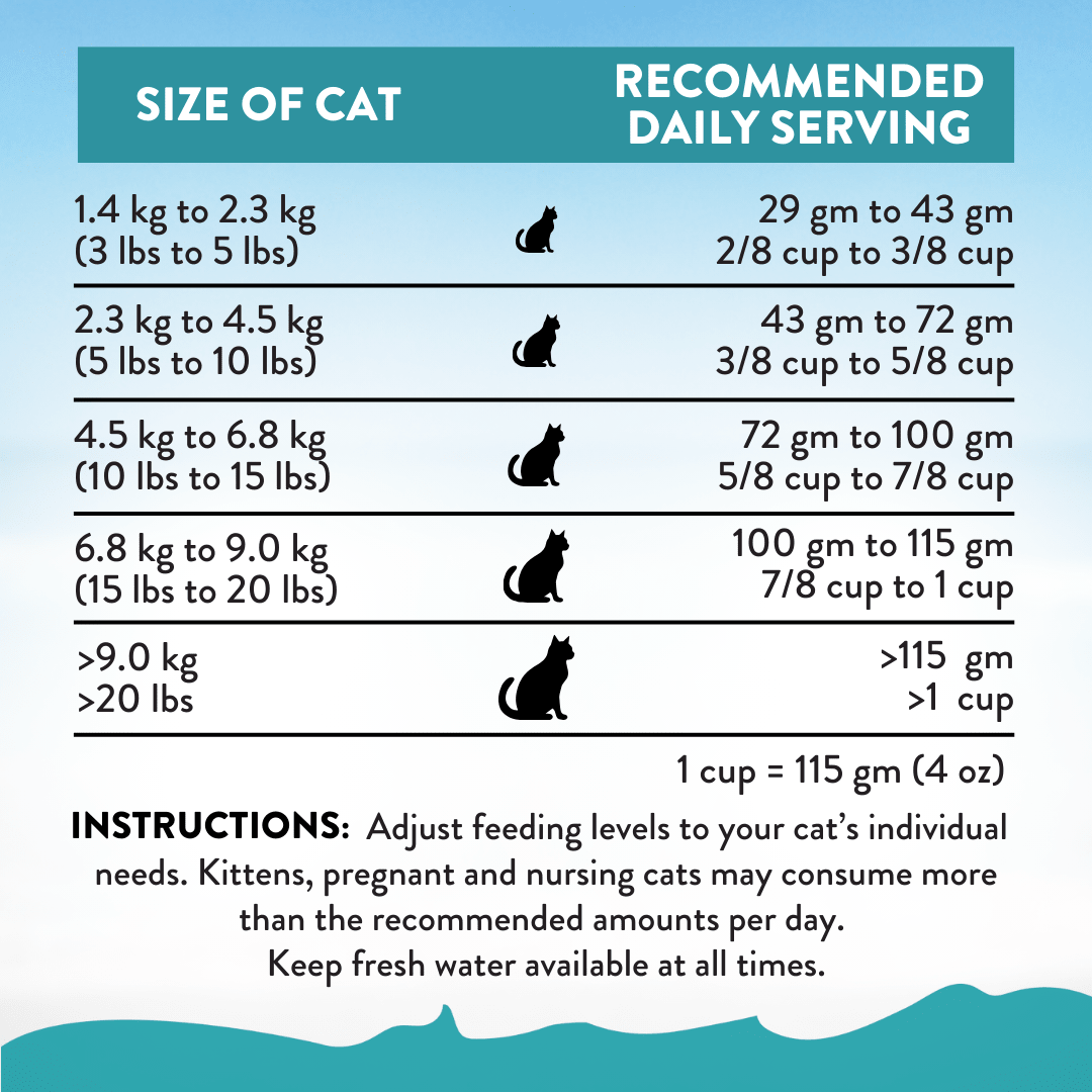 Salmon Bleu Dry Cat Food 1.8kg - Addiction Singapore