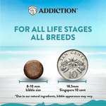 Salmon Bleu Dry Cat Food 1.8kg - Addiction Singapore