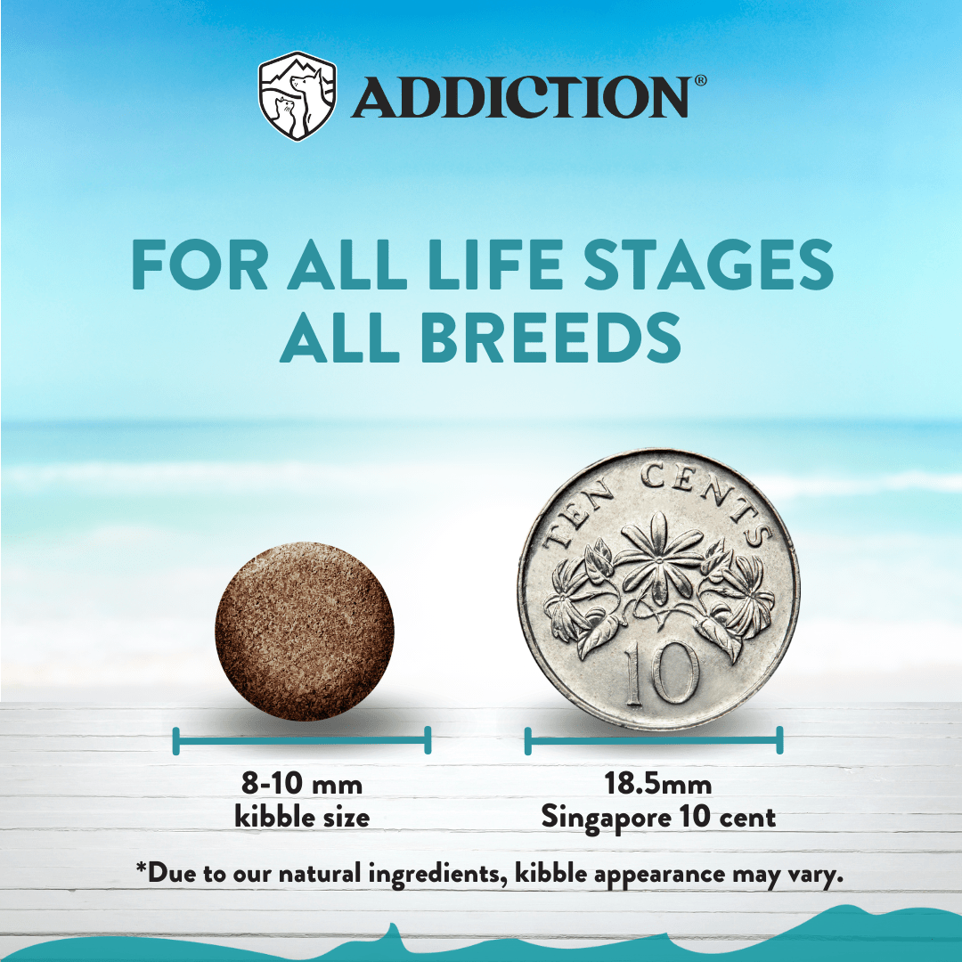 Salmon Bleu Dry Cat Food 1.8kg - Addiction Singapore