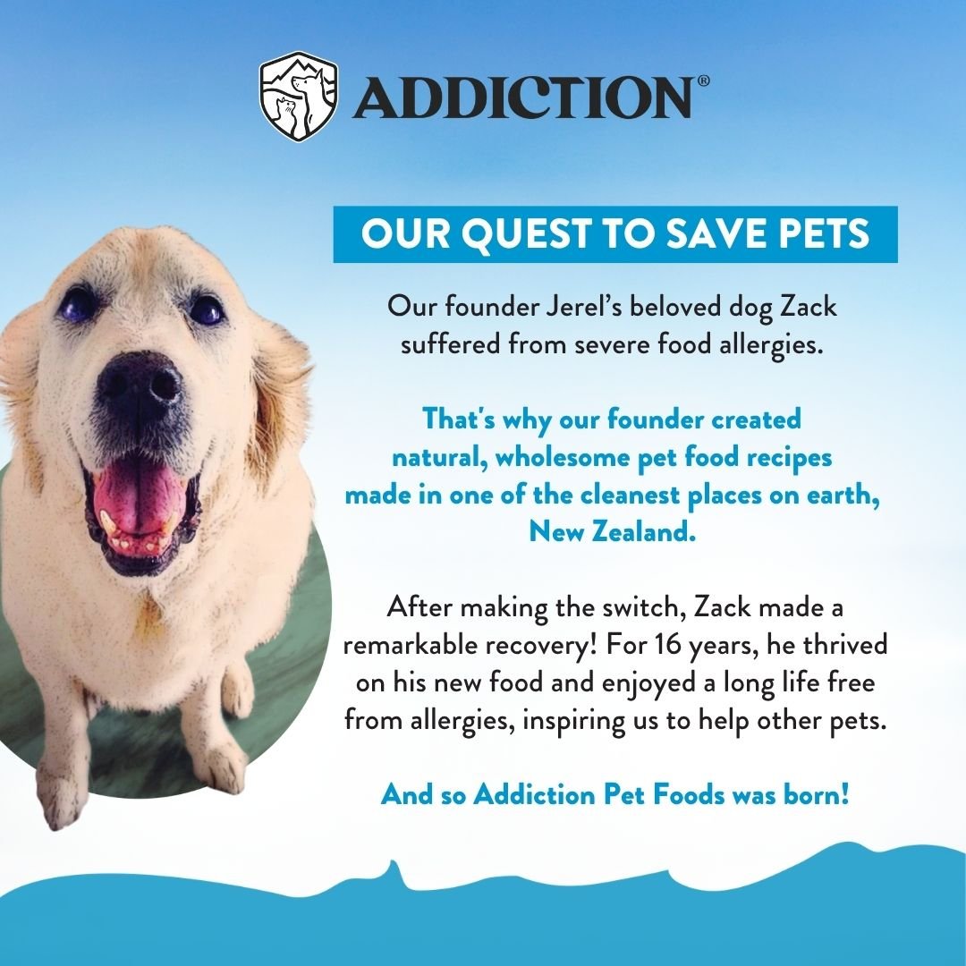 Salmon Bleu Grain-Free Dry Dog Food 1.8kg, 9kg - Addiction Singapore
