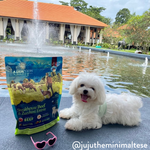 Steakhouse Beef & Zucchini Entree Air-Dried Dog Food 910g - Addiction Singapore