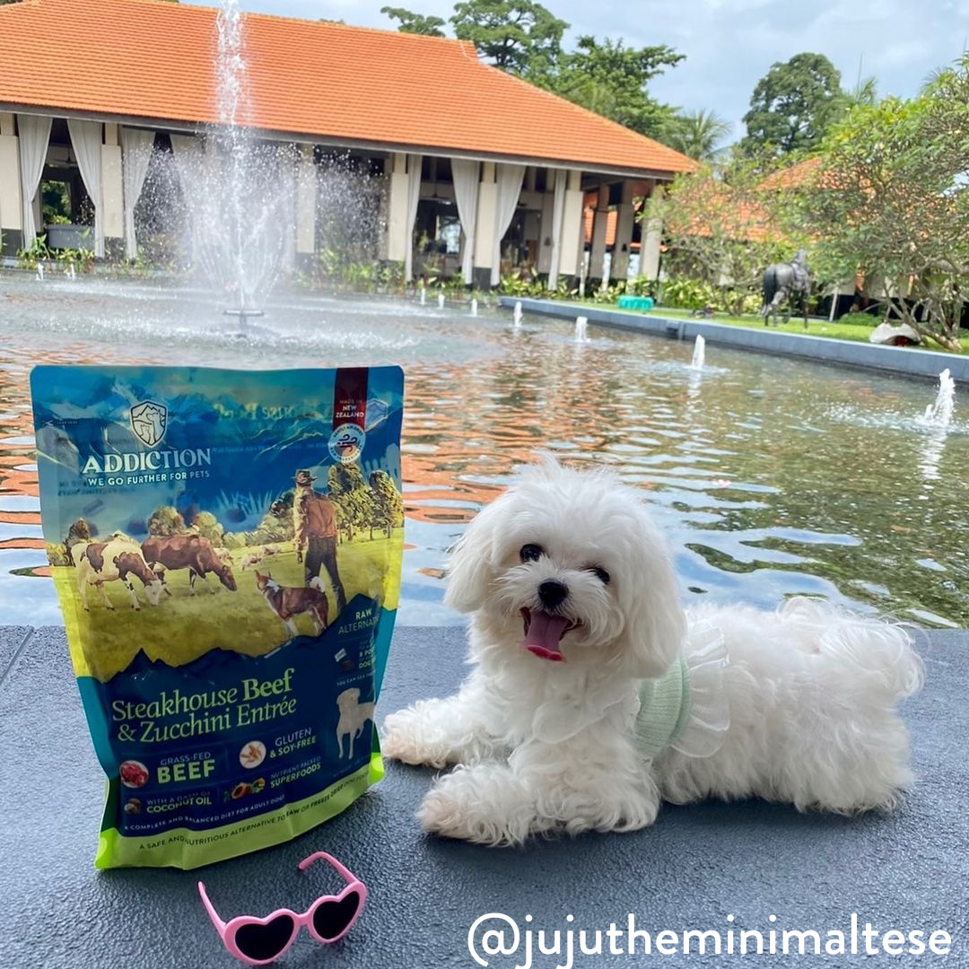 Steakhouse Beef & Zucchini Entree Air-Dried Dog Food 910g - Addiction Singapore
