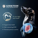 Steakhouse Beef & Zucchini Entree Air-Dried Dog Food 910g - Addiction Singapore