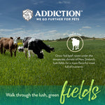 Steakhouse Beef & Zucchini Entree Air-Dried Dog Food 910g - Addiction Singapore