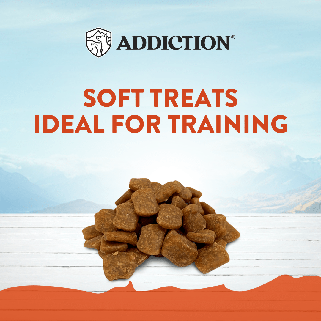 Venison Meaty Bites - Hypoallergenic Dog Treats 113g - Addiction Singapore