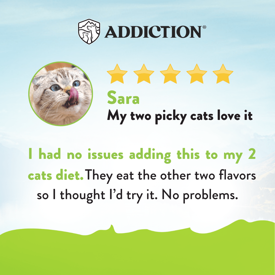 Viva La Venison Dry Cat Food 1.8kg - Addiction Singapore