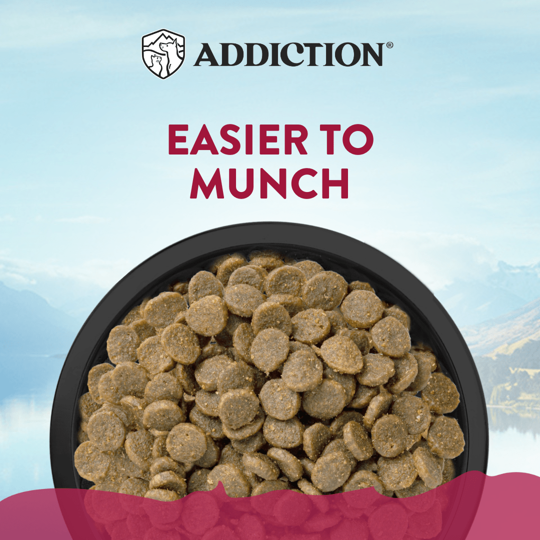 Viva La Venison Grain - free Venison Small Breed Dry Dog Food 1.5kg - Addiction Singapore