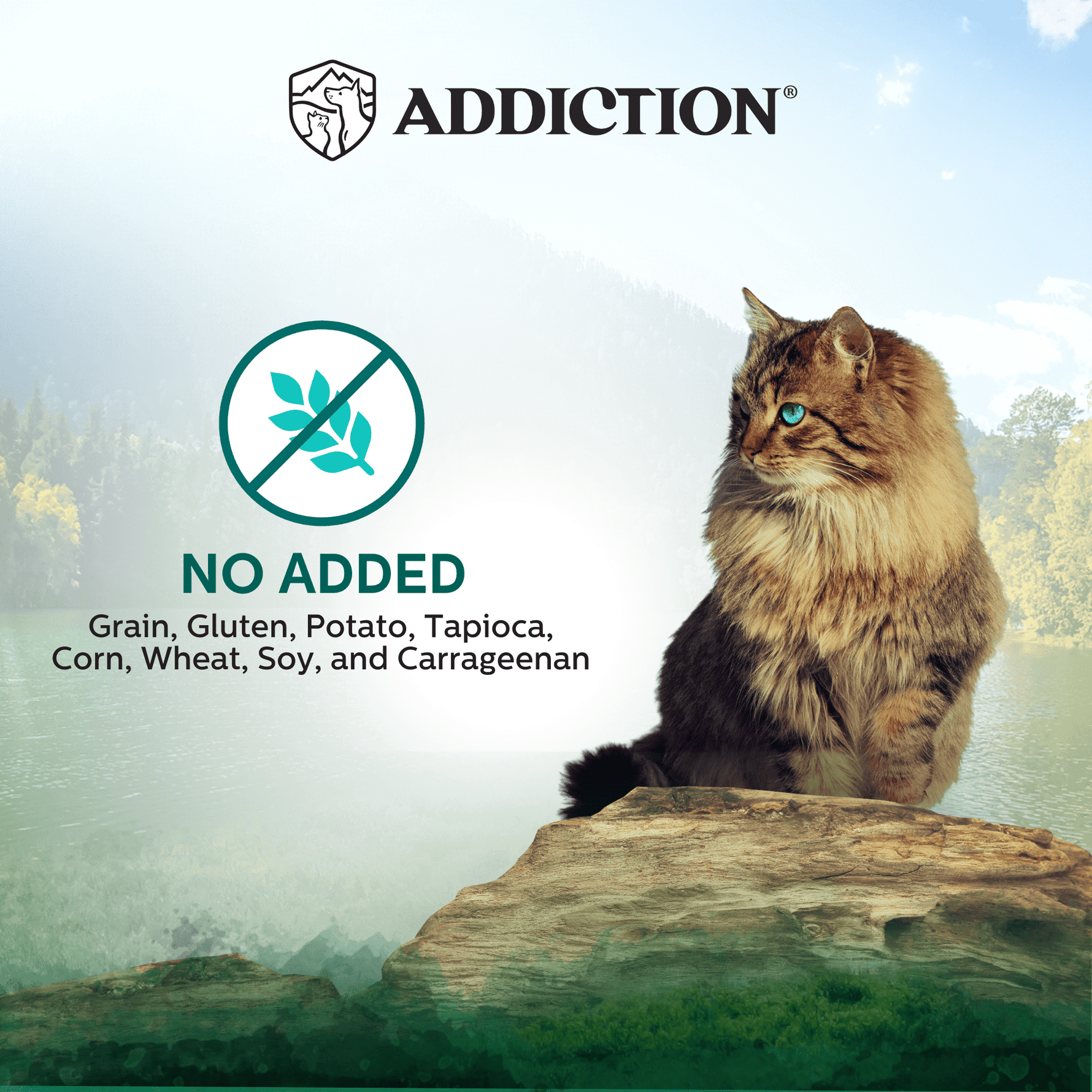 Wild Islands Bird NZ Duck, Turkey & Chicken Canned Cat Food 185g - Addiction Singapore