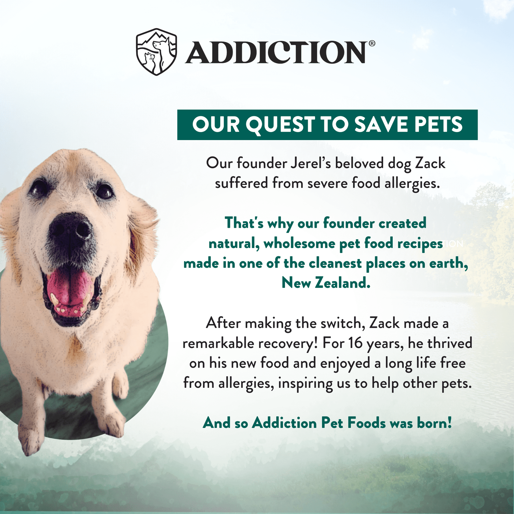 Wild Islands Bird NZ Duck, Turkey & Chicken Canned Cat Food 185g - Addiction Singapore