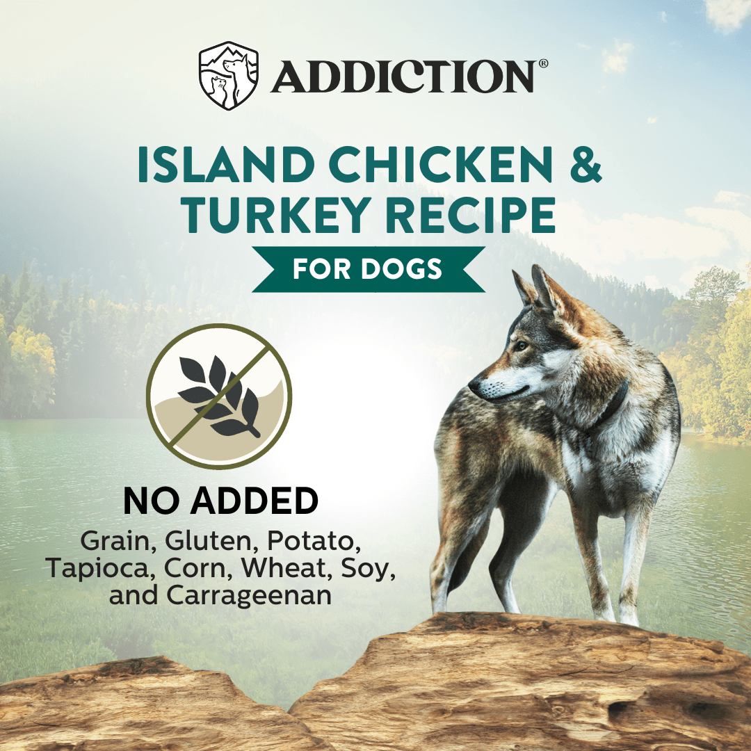 Wild Islands Chicken & Turkey Wet Can Dog Food 185g - Addiction Singapore