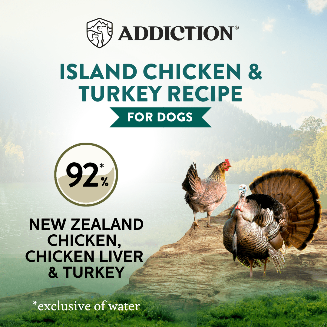 Wild Islands Chicken & Turkey Wet Can Dog Food 185g - Addiction Singapore