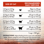Wild Islands Forest Meat Premium Venison Dry Cat Food 1.8kg, 4.5kg - Addiction Singapore
